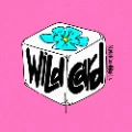 wildcardgamenights